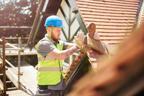 Best Storm Damage Roof Repair  in Watseka, IL